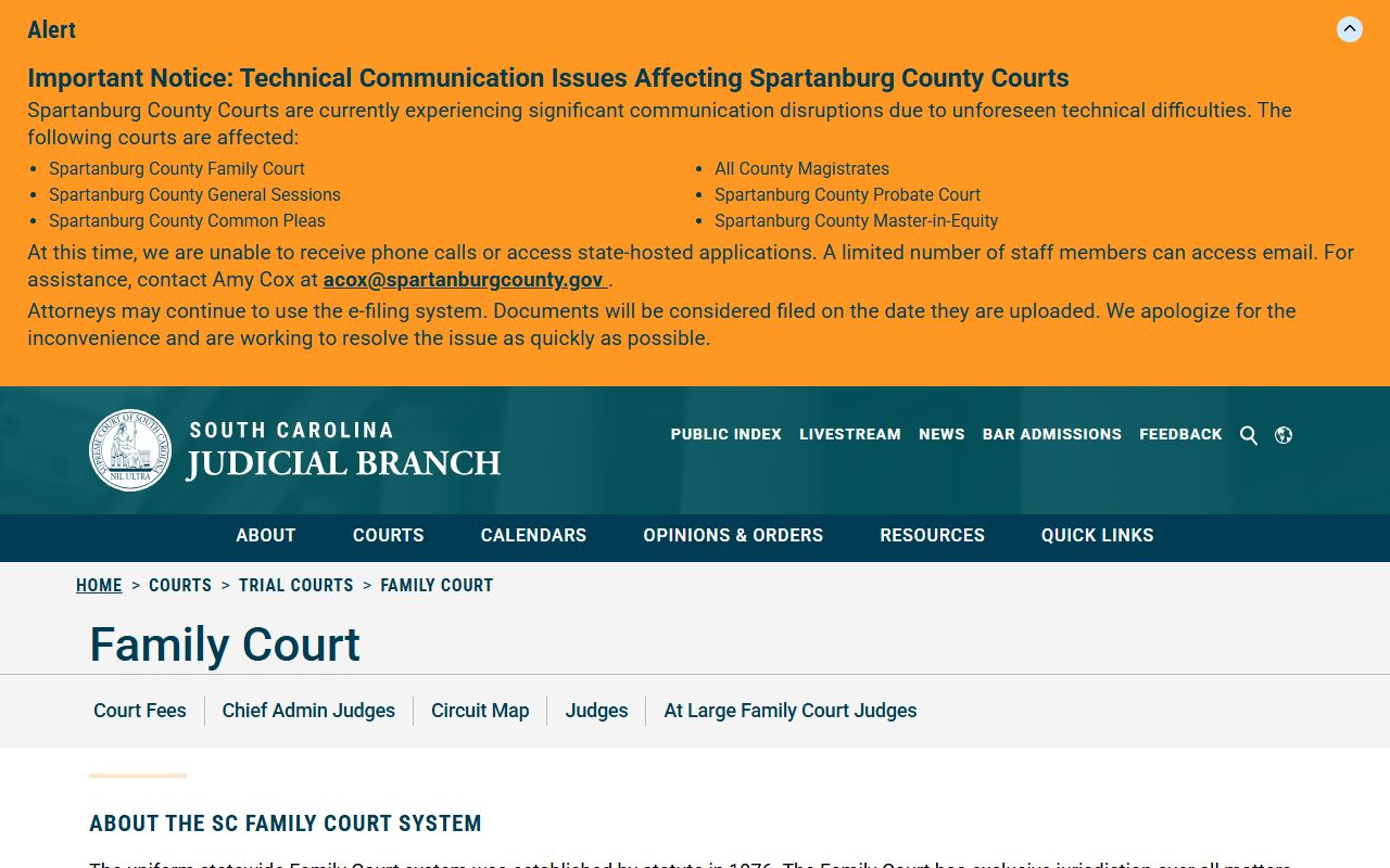 Williamsburg County court dockets Family Court overview
