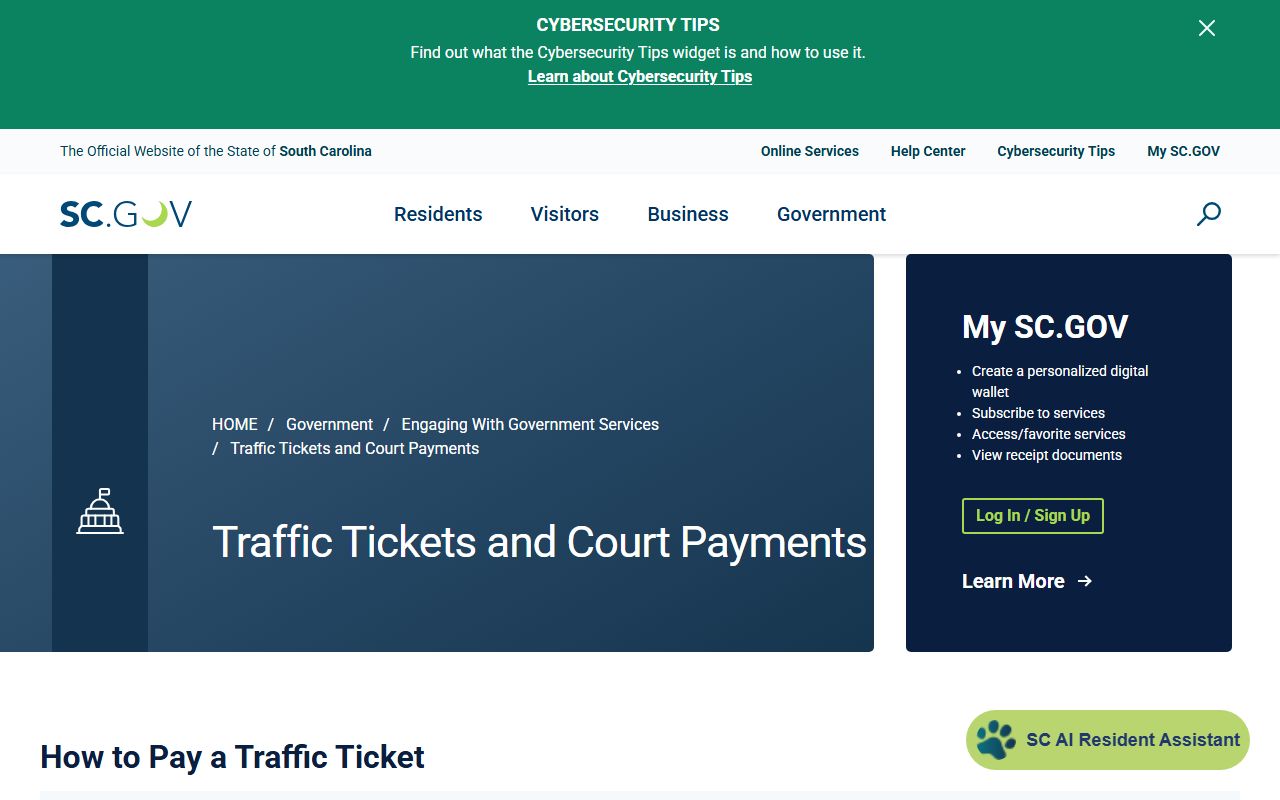 Williamsburg County traffic court records SC.gov payment source